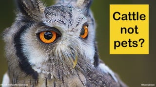 @koenighotze#WJAX #10TipsMicroservices
Cattle
not
pets?
 