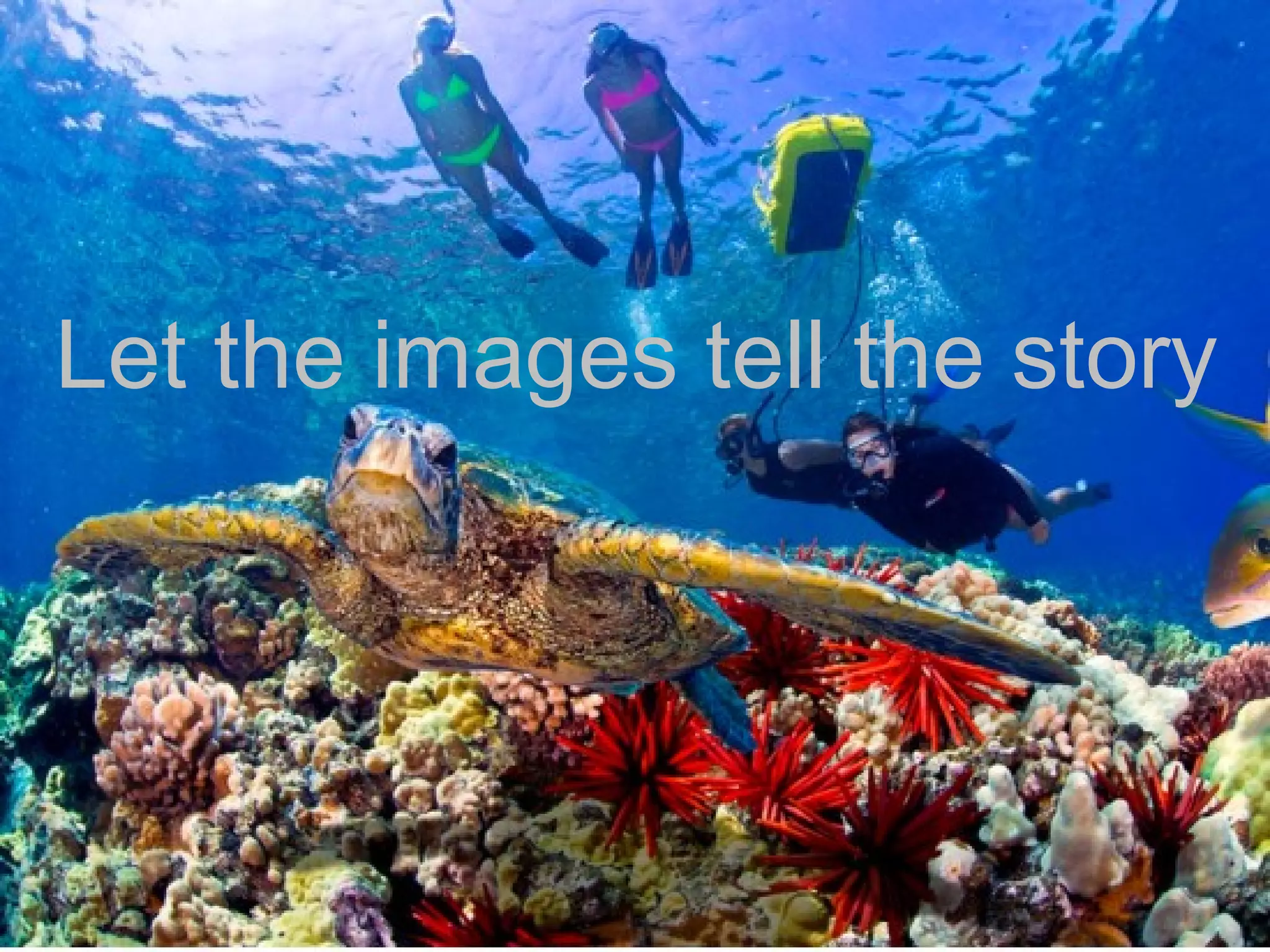 Let the images tell the story
 