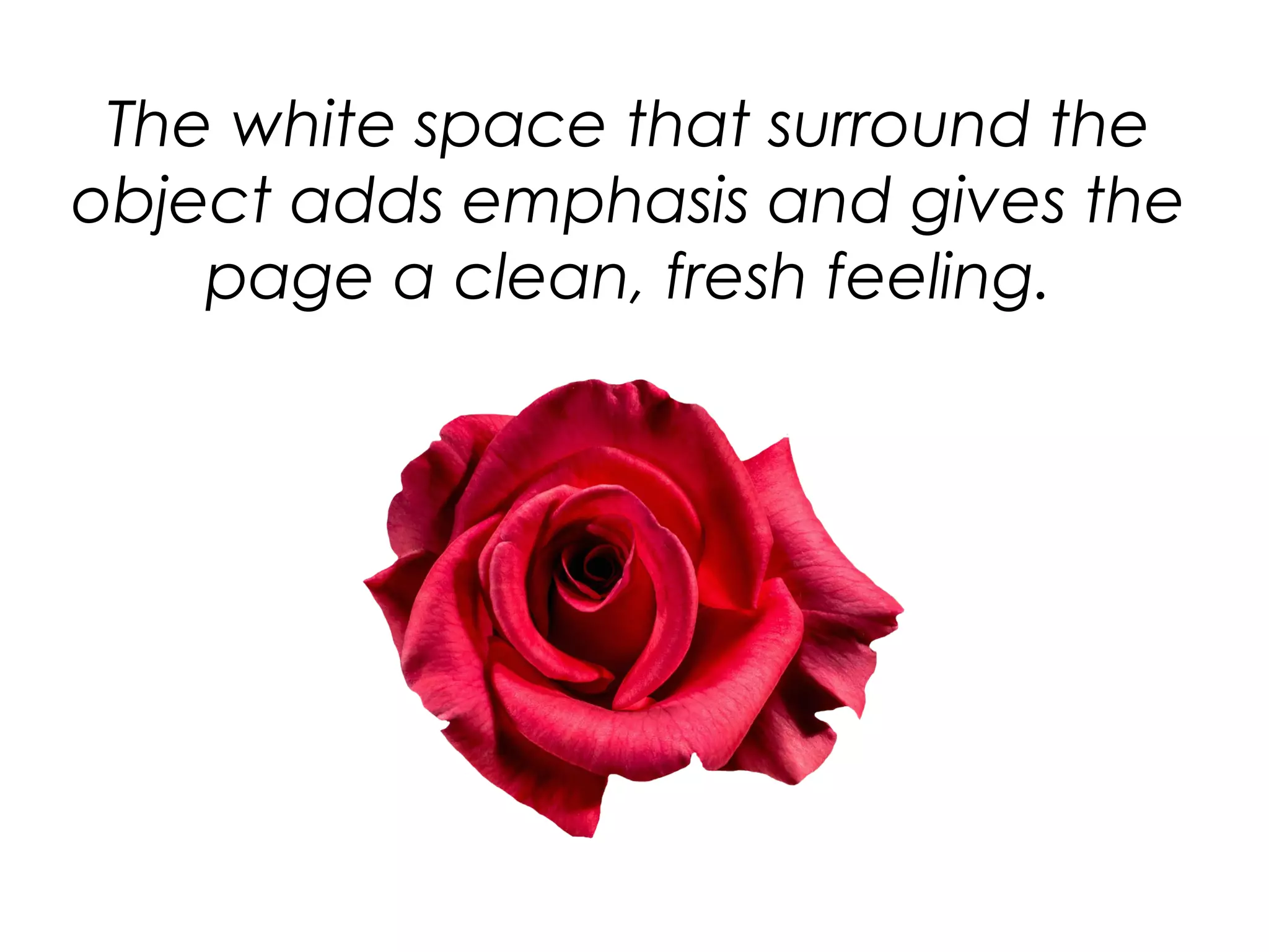The white space that surround the
object adds emphasis and gives the
page a clean, fresh feeling.
 