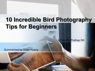 10 Incredible Bird Photography
Tips for Beginners
A Post By: Prathap DK
Summarized by Victor Huang
 