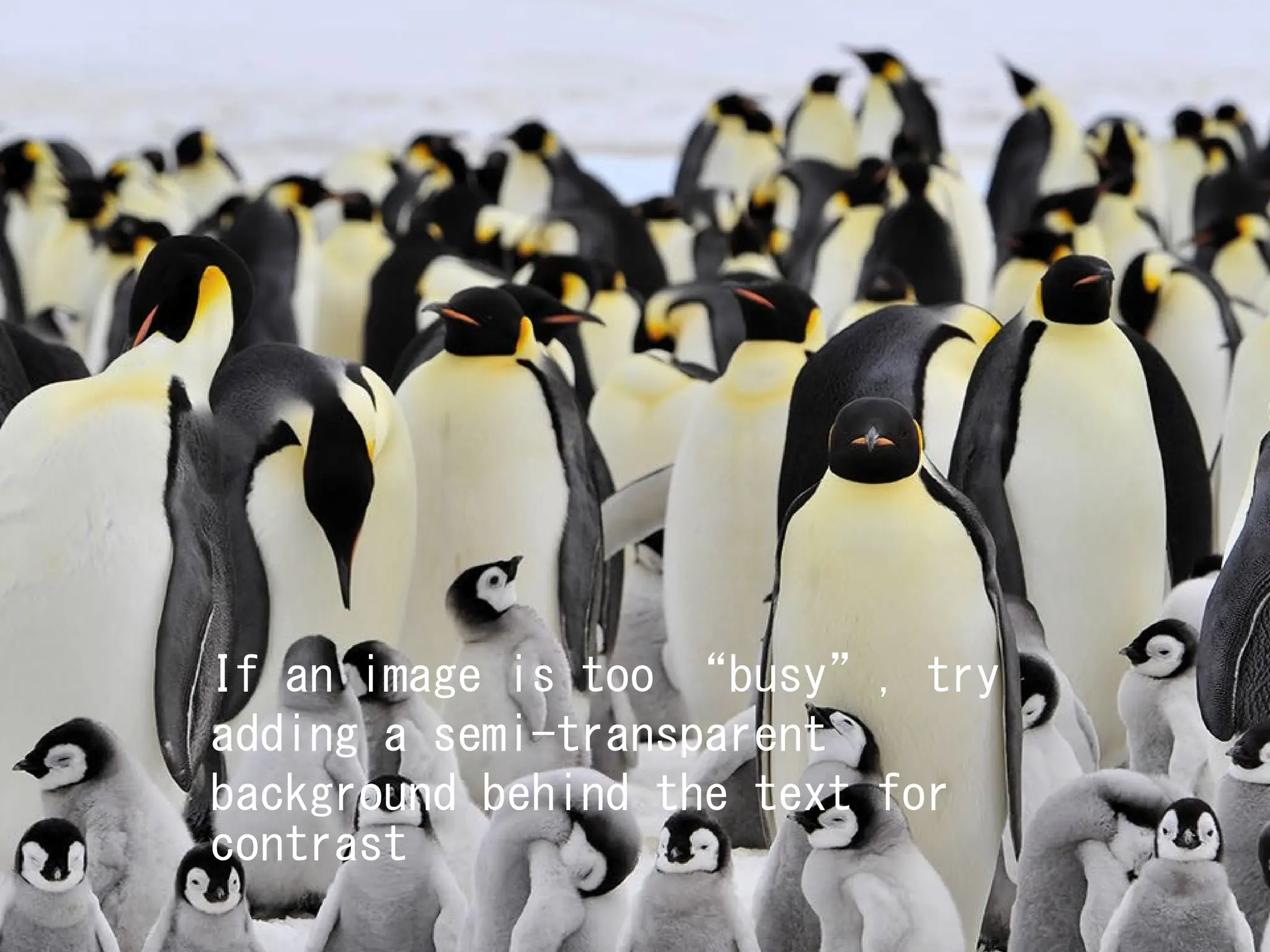 If an image is too “busy”, try
adding a semi-transparent
background behind the text for
contrast
 