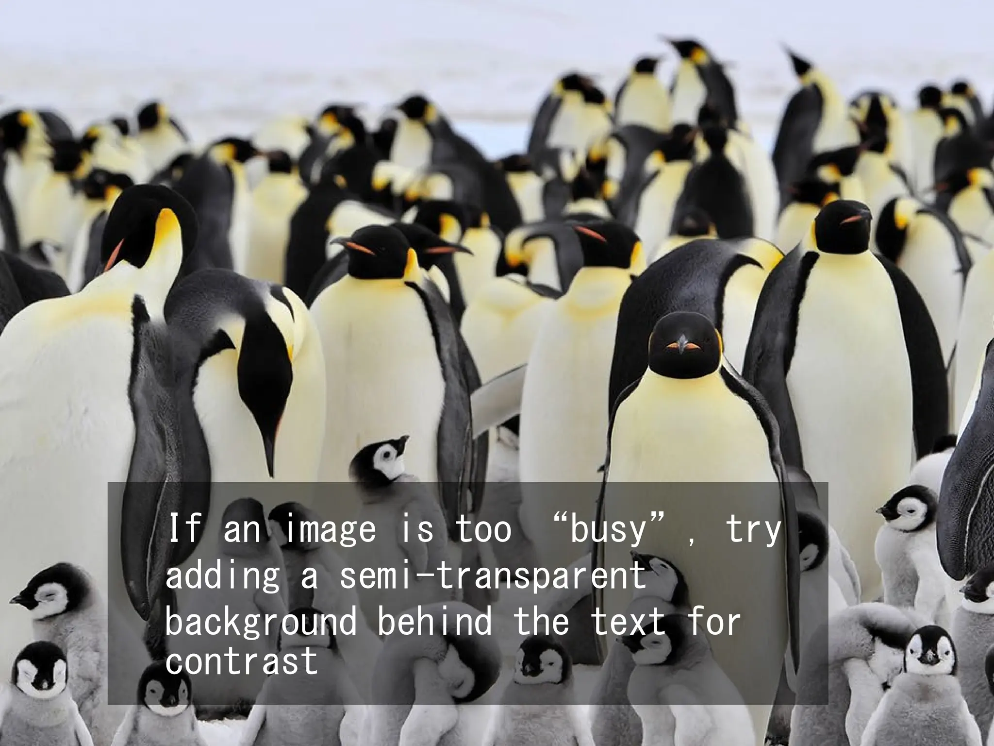 If an image is too “busy”, try
adding a semi-transparent
background behind the text for
contrast
 