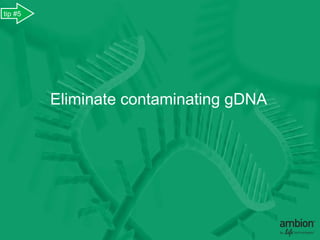 tip #5




         Eliminate contaminating gDNA
 