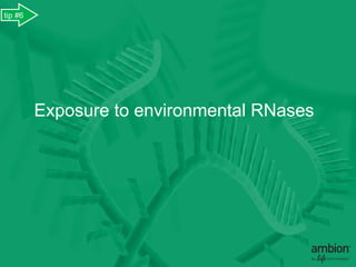 tip #6




         Exposure to environmental RNases
 