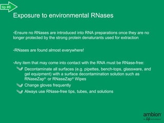 tip #6

         Exposure to environmental RNases

         -Ensure no RNases are introduced into RNA preparations once they are no
         longer protected by the strong protein denaturants used for extraction.


         -RNases are found almost everywhere!


         -Any item that may come into contact with the RNA must be RNase-free:
              Decontaminate all surfaces (e.g. pipettes, bench-tops, glassware, and
              gel equipment) with a surface decontamination solution such as
              RNaseZap® or RNaseZap® Wipes.
              Change gloves frequently.
              Always use RNase-free tips, tubes, and solutions.
 