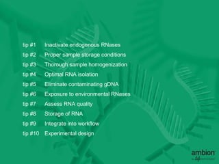 tip #1    Inactivate endogenous RNases
tip #2    Proper sample storage conditions
tip #3    Thorough sample homogenization
tip #4    Optimal RNA isolation
tip #5    Eliminate contaminating gDNA
tip #6    Exposure to environmental RNases
tip #7    Assess RNA quality
tip #8    Storage of RNA
tip #9    Integrate into workflow
tip #10   Experimental design
 