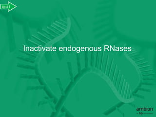 tip #1




         Inactivate endogenous RNases
 
