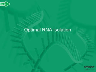 tip #4




         Optimal RNA isolation
 