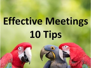 Effective Meetings
      10 Tips
 