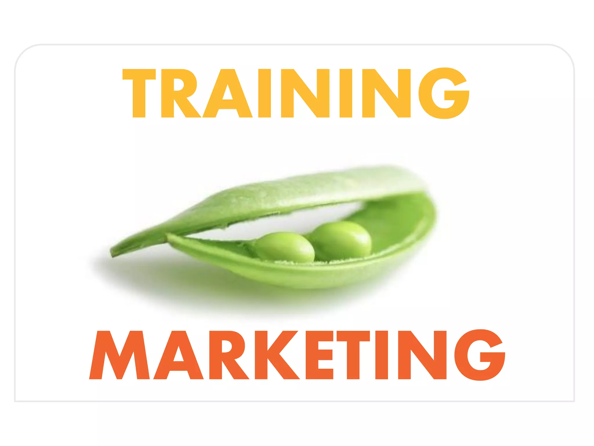 TRAINING
MARKETING
 