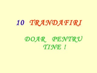 10  TRANDAFIRI  DOAR  PENTRU  TINE   ! 