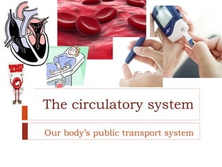 The circulatory system
Our body’s public transport system
 