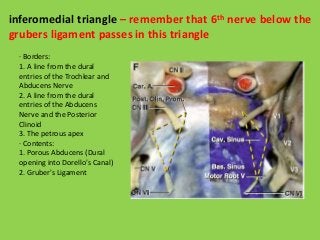 inferomedial triangle – remember that 6th nerve below the
grubers ligament passes in this triangle
· Borders:
1. A line from the dural
entries of the Trochlear and
Abducens Nerve
2. A line from the dural
entries of the Abducens
Nerve and the Posterior
Clinoid
3. The petrous apex
· Contents:
1. Porous Abducens (Dural
opening into Dorello's Canal)
2. Gruber's Ligament
 