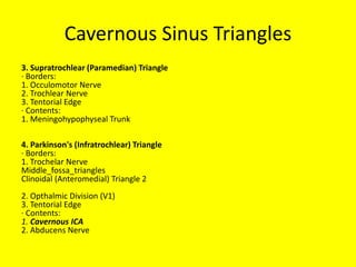 3rd & 4th nerves below optic nerve
 