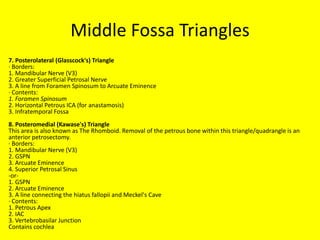 Carotid nerve –
part of S’ shaped configuration formed by the
oculomotor, the abducens , carotid nerve (
paraclival carotid ) and the vidian nerves.
 