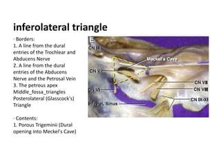Blue arrow in Left picture ; * in Right
picture - Gruber’s ligament
 