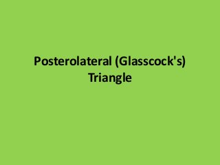 Posterolateral (Glasscock's)
Triangle
 
