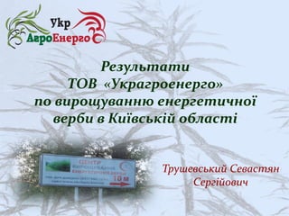 Результати
ТОВ «Украгроенерго»
по вирощуванню енергетичної
верби в Київській області
Трушевський Севастян
Сергійович
 