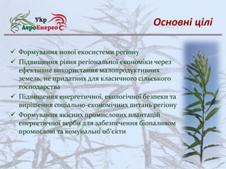 Основні цілі
 Формування нової екосистеми регіону
 Підвищення рівня регіональної економіки через
ефективне використання ...