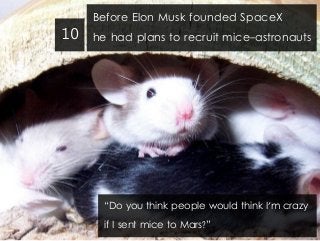 10

Before Elon Musk founded SpaceX
he had plans to recruit mice-astronauts

“Do you think people would think I'm crazy
if I sent mice to Mars?”

 