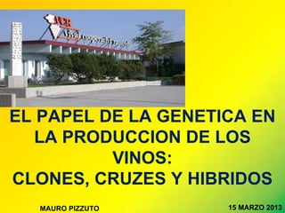 EL PAPEL DE LA GENETICA EN
   LA PRODUCCION DE LOS
          VINOS:
CLONES, CRUZES Y HIBRIDOS
  MAURO PIZZUTO      15 MARZO 2013
 