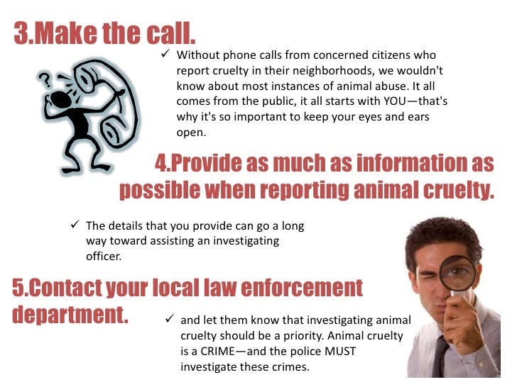 10 ways to prevent animal cruelty 10 ways to prevent animal cruelty