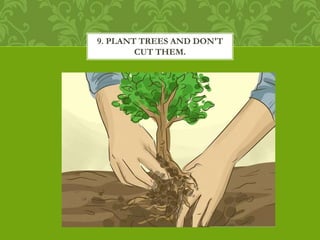 9. PLANT TREES AND DON'T
CUT THEM.