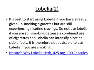 Lobelia(2)
• It’s best to start using Lobelia if you have already
  given up smoking cigarettes but are still
  experiencing nicotine cravings. Do not use lobelia
  if you are still smoking because a combined use
  of cigarettes and Lobelia can intensify nicotine
  side effects. It is therefore not advisable to use
  Lobelia if you are smoking.
• Nature’s Way Lobelia Herb, 425 mg, 100 Capsules
 