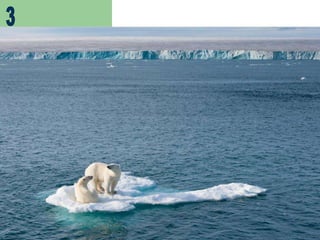 10 weekly reader TEST endangered animals