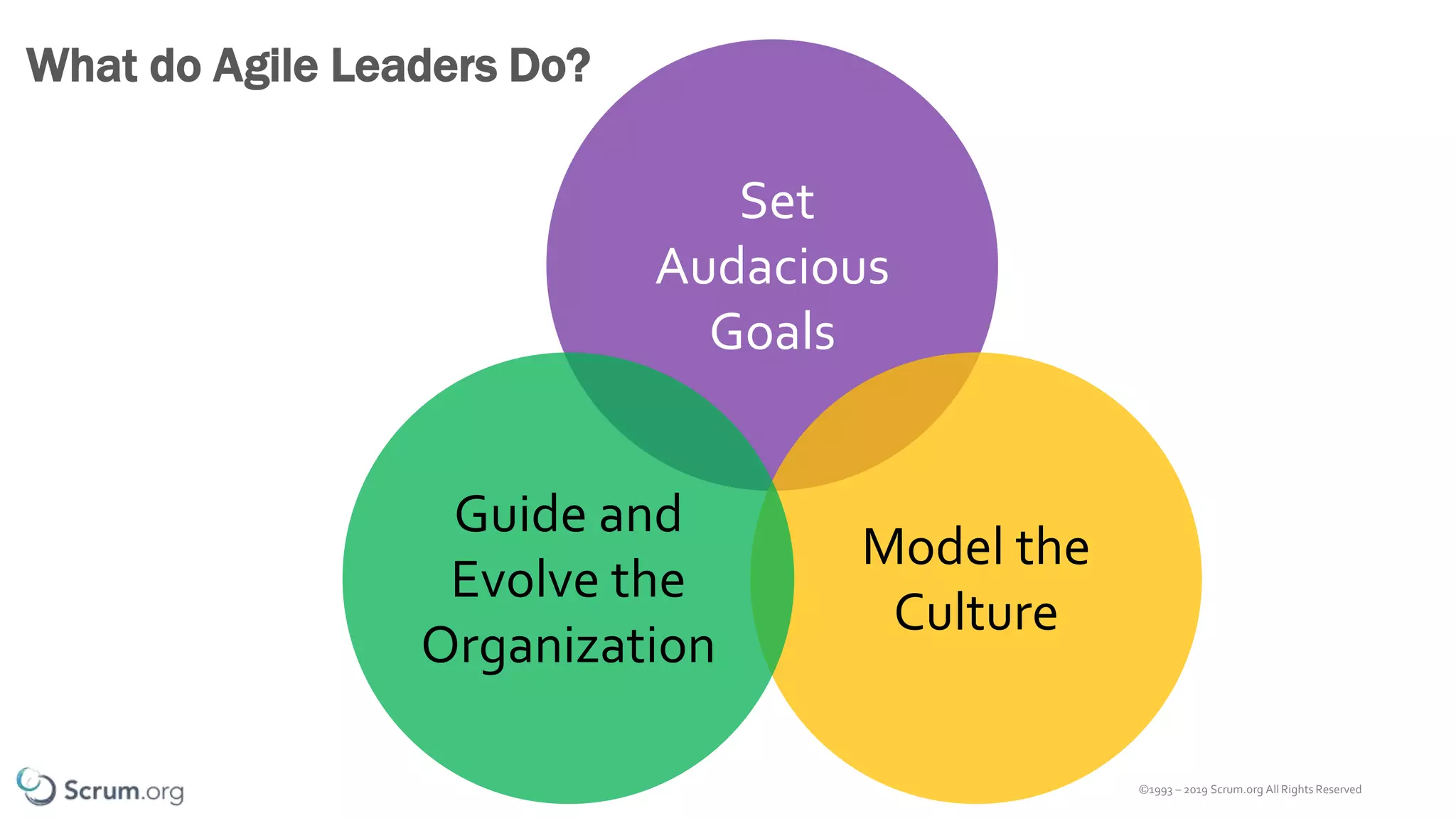 ©1993 – 2019 Scrum.org All Rights Reserved
Set
Audacious
Goals
What do Agile Leaders Do?
Model the
Culture
Guide and
Evolve the
Organization
 