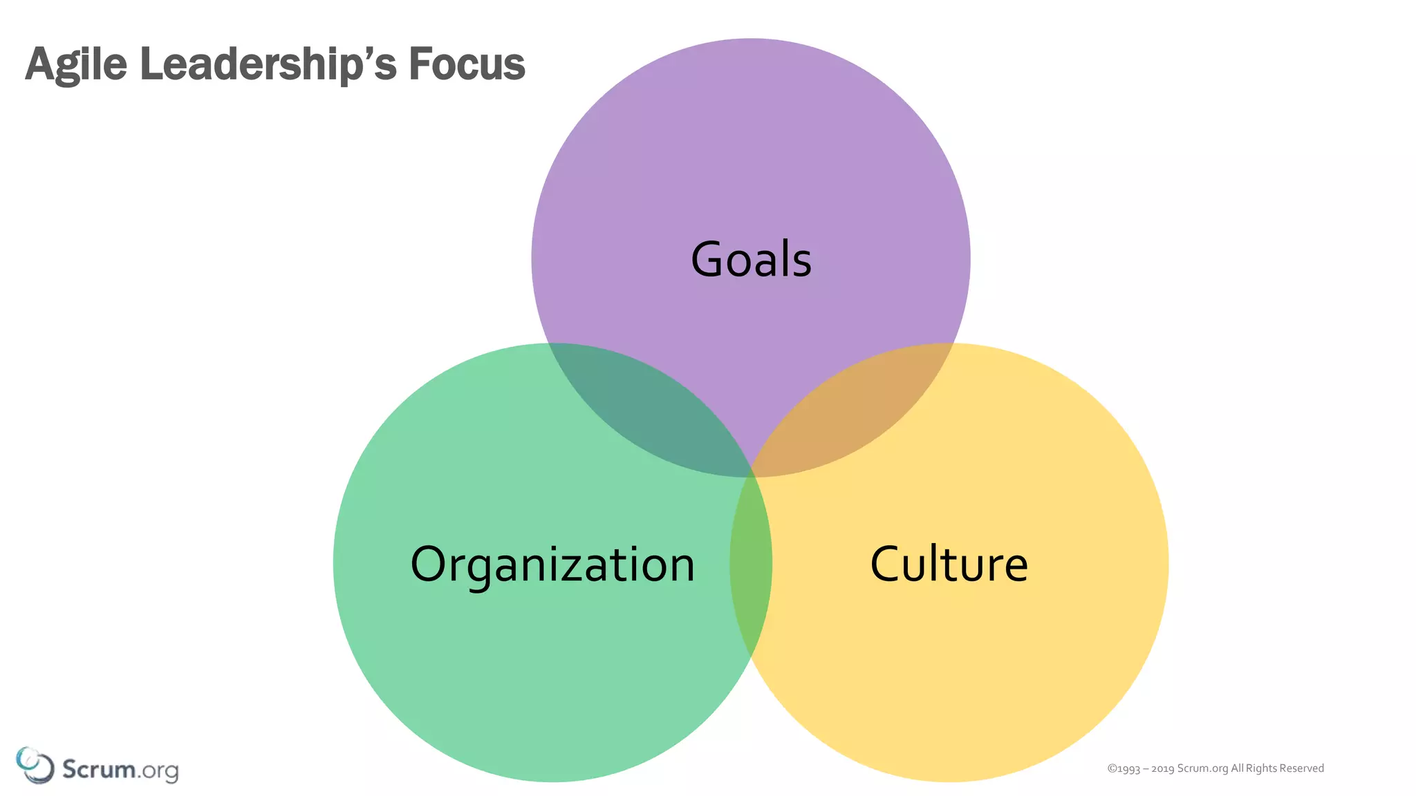 ©1993 – 2019 Scrum.org All Rights Reserved
Goals
Agile Leadership’s Focus
CultureOrganization
 