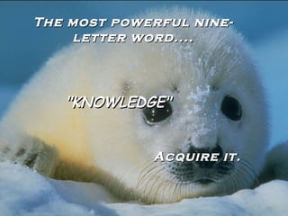 The most powerful nine-
    letter word....



   "KNOWLEDGE"


             Acquire it.
 