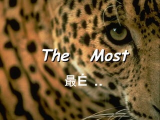 The  Most 最… .. 