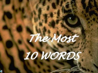 The Most 10 WORDS 