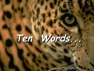 Ten  Words... 