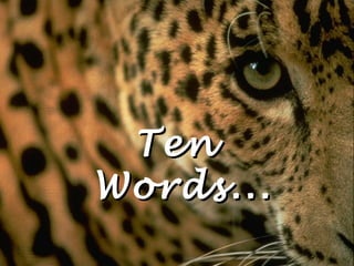 Ten  Words... 