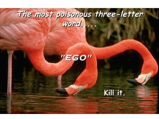 The most poisonous three-letter word..... &quot;EGO&quot; Kill it. 