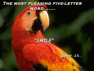 The most pleasing five-letter word....... &quot;SMILE&quot; Keep it. 