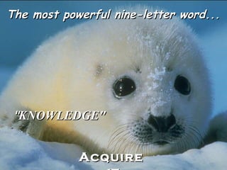 The most powerful nine-letter word...




 "KNOWLEDGE"


            Acquire
 