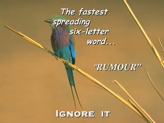 The fastest
spreading
    six-letter
         word...


          "RUMOUR"




Ignore it
 
