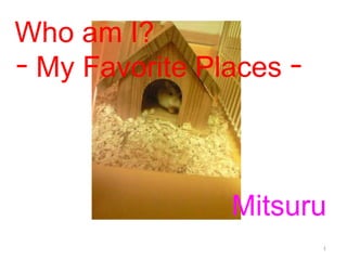 Who am I? ｰ My Favorite Places ｰ Mitsuru 
