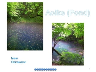 Near 　 Shirakami! 