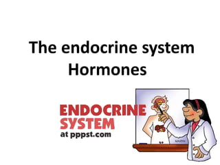 The endocrine system
Hormones
 
