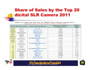 Share of Sales by the Top 20
dicital SLR Camera 2011




                               18
 