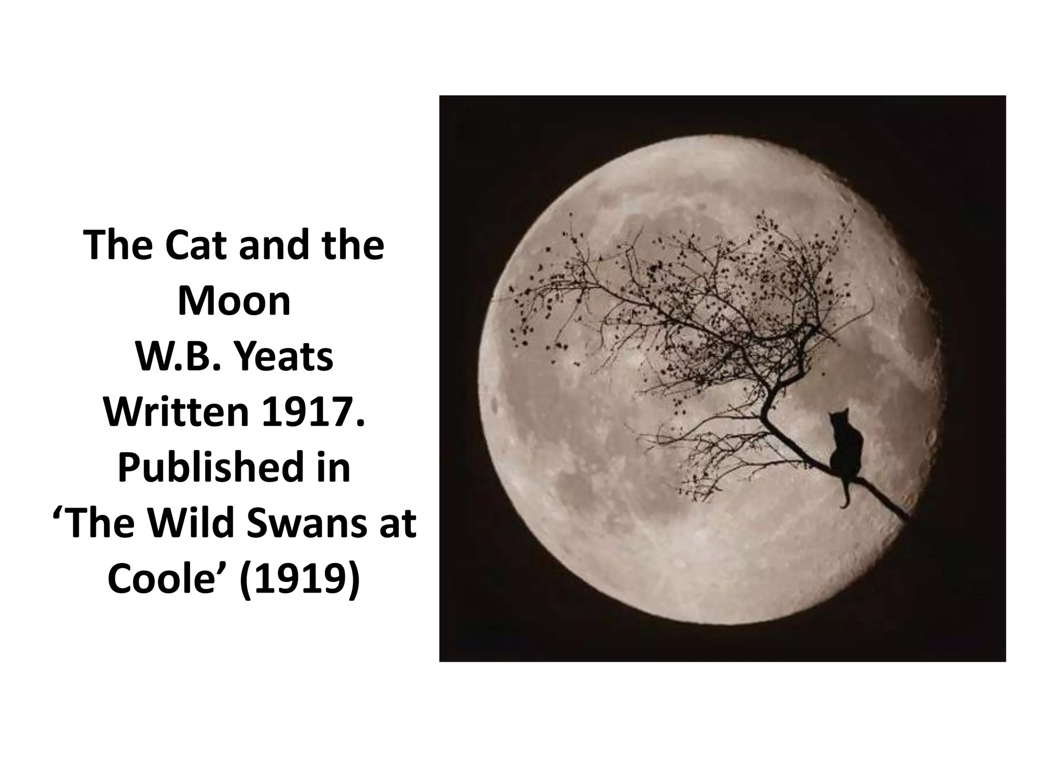 10 yeats the cat and the moon PPTX