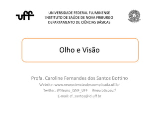 Olho e Visão
UNIVERSIDADE FEDERAL FLUMINENSE
INSTITUTO DE SAÚDE DE NOVA FRIBURGO
DEPARTAMENTO DE CIÊNCIAS BÁSICAS
Profa. Caroline Fernandes dos Santos Bottino
Website: www.neurocienciasdescomplicada.uff.br
Twitter: @Neuro_ISNF_UFF #neuroticosuff
E-mail: cf_santos@id.uff.br
 