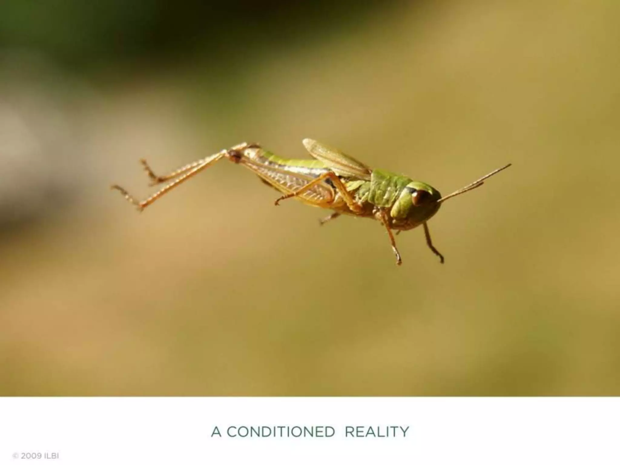 Living Building Challenge 2.0