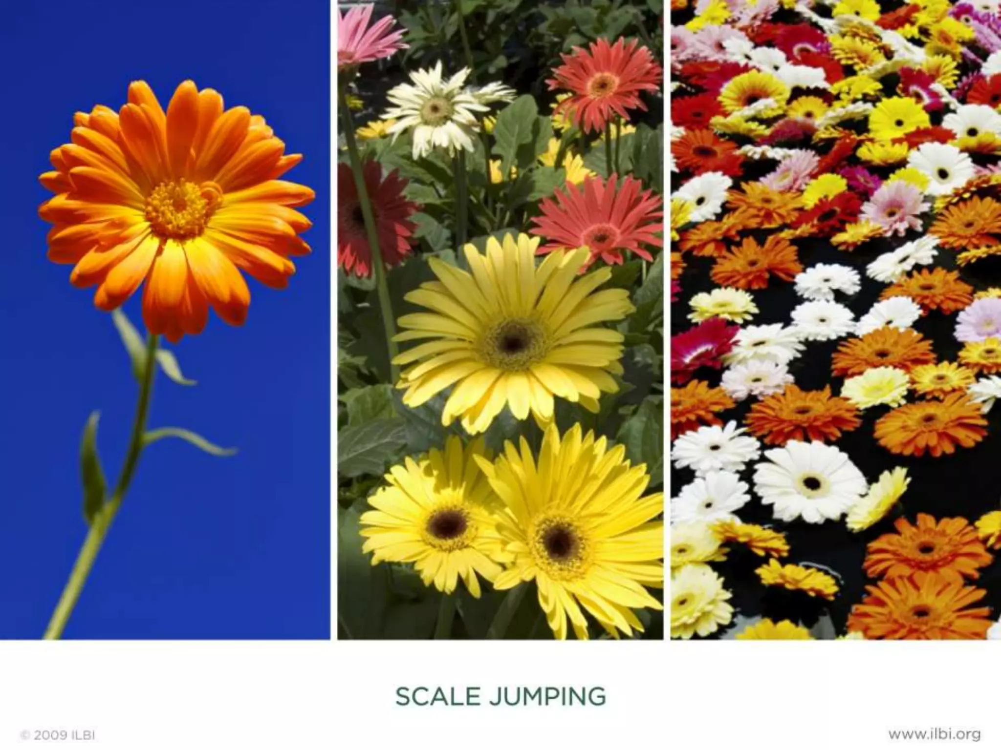 Living Building Challenge 2.0