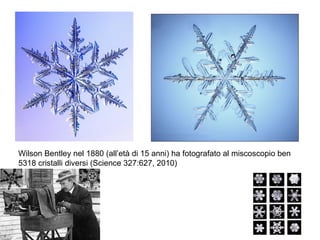 Wilson Bentley nel 1880 (all’età di 15 anni) ha fotografato al miscoscopio ben 5318 cristalli diversi (Science 327:627, 2010) 