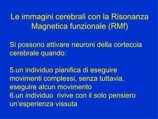 Le immagini cerebrali con la Risonanza Magnetica funzionale (RMf) Si possono attivare neuroni della corteccia cerebrale quando: un individuo pianifica di eseguire movimenti complessi, senza tuttavia, eseguire alcun movimento un individuo  rivive con il solo pensiero un’esperienza vissuta 